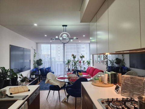 Parramatta Shared Apartment,gym,swimming Pool - Accommodation Gladstone 3