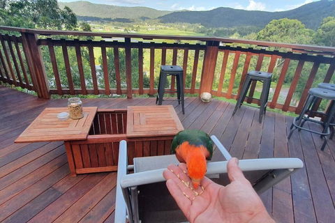 Paterson Skywalk - Accommodation Gladstone 3