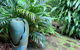 Palmwoods Eco Escape - thumb 2