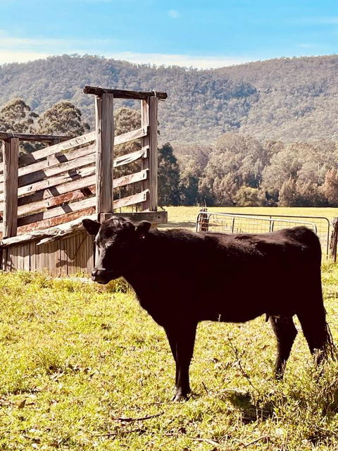 Peppercorns Riverside Farm Stay - Accommodation Gladstone 0