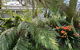 Petschel House - thumb 3