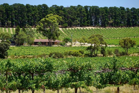 Picturesque Vineyard Farmhouse Nestled On 40-Acres - Accommodation Gladstone 0