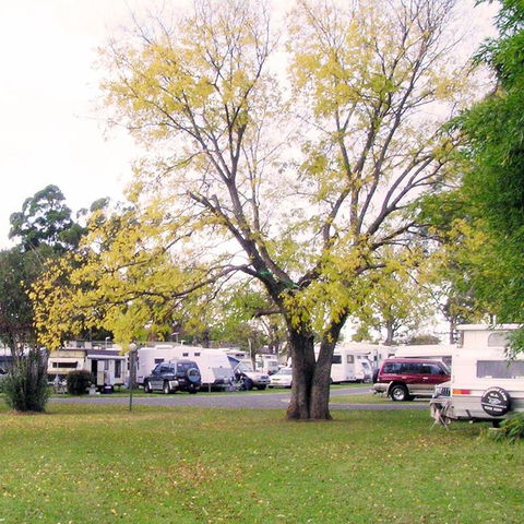 Poplar Tourist Park - Accommodation Gladstone 2