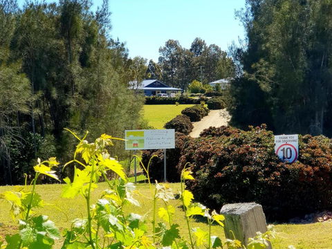 Red Door Collective - RDC Vineyard Estate, Luxury Adult Only Stay - Accommodation Gladstone 0