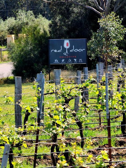 Red Door Collective - RDC Vineyard Estate, Luxury Adult Only Stay - Accommodation Gladstone 1