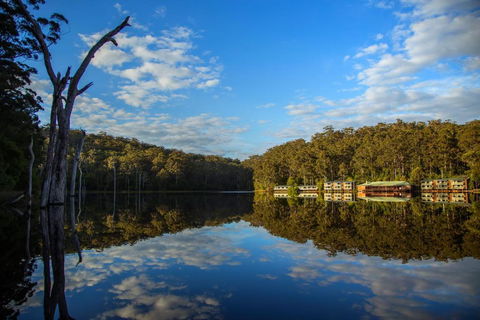 RAC Karri Valley Resort - Accommodation Gladstone 3