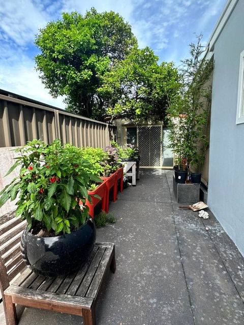 Private, Local Living Studio In Mascot, Airport - Accommodation Gladstone 2