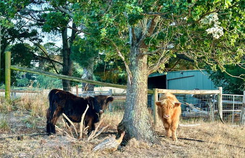 Private, Secluded Farm Retreat - Accommodation Gladstone 3