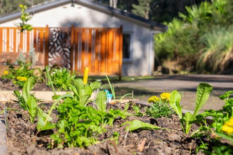 Pure Valley Estate - Accommodation Gladstone 3