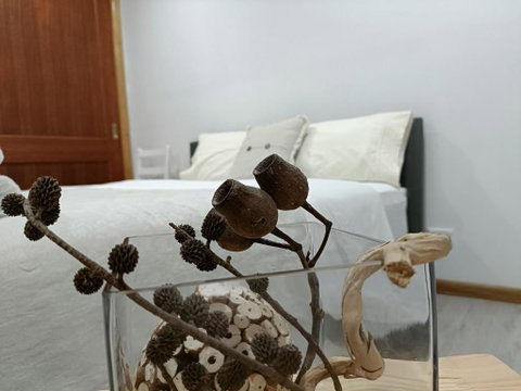 Quiet Nature-Filled Ground Floor Unit - Accommodation Gladstone 1