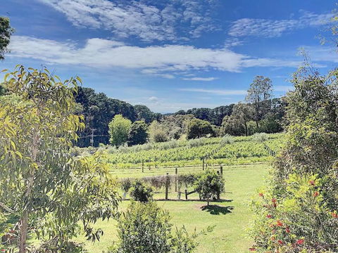 Red Hill Lane 5BedroomVineyard&RuralValleyViews - Accommodation Gladstone 3