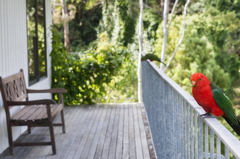 At Riverside - Accommodation Gladstone 3