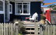 Avalon @Seafarers Beachfront - thumb 0