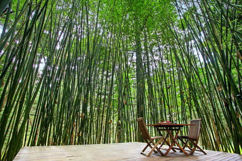 Azabu Boutique Accommodation - Accommodation Gladstone 1
