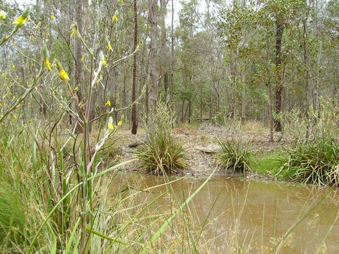 Back To The Bush - Accommodation Gladstone 2