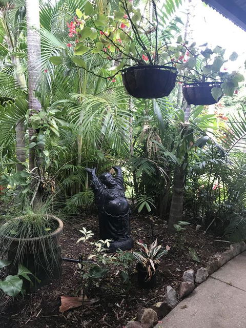 Bali Inspired Hideaway With Tropical Villa & Plunge Pool - Accommodation Gladstone 3