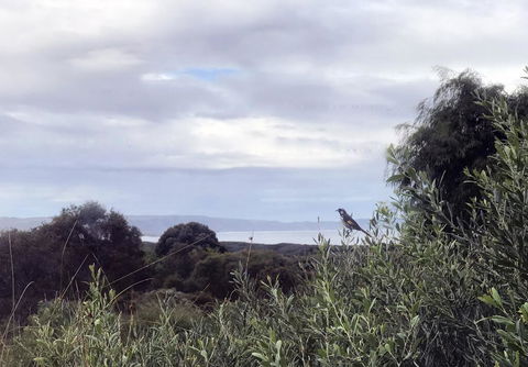 Banksia @ Cosy Corner - Accommodation Gladstone 1