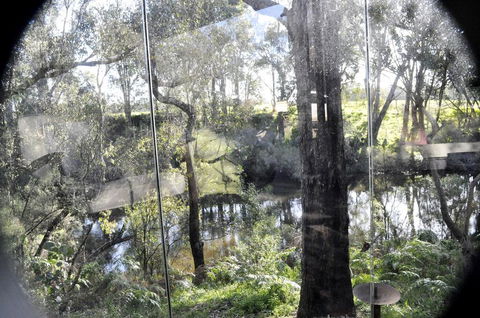 Barrabup Sanctuary BirdHide - Accommodation Gladstone 1
