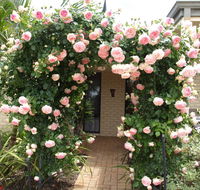 Baudins of Busselton Bed and Breakfast - Accommodation Gladstone