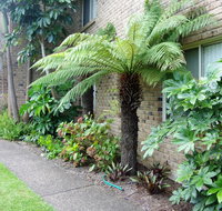 Beachfront Apartments - Accommodation Gladstone