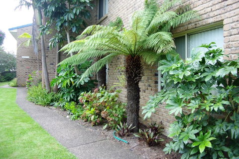 Beachfront Apartments - Accommodation Gladstone 0