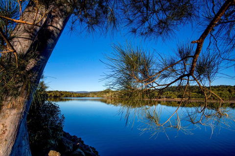 Reflections Ferry Reserve - Holiday Park - Accommodation Gladstone 2