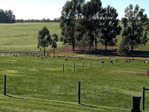 Redtail Ridge Cottages - Accommodation Gladstone 1