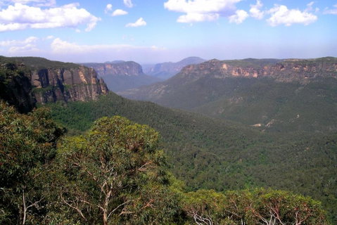 Ribbon Gum Lodge - Accommodation Gladstone 1