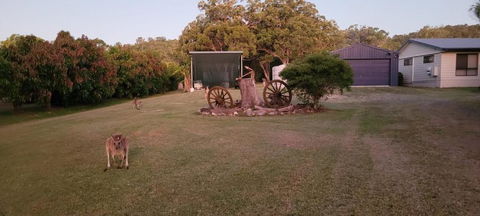 Roo Or 2 On Streeter - Accommodation Gladstone 1