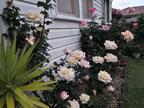 Roomy Rosegarden Flat In Roselands - Accommodation Gladstone 3