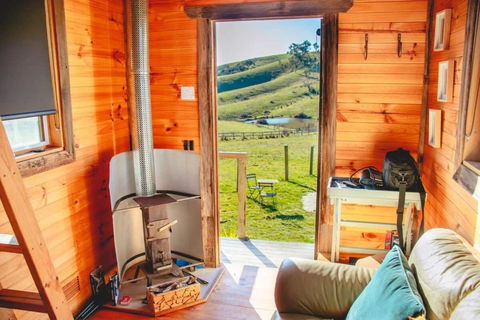 Saddle Country Escape By Tiny Away - Accommodation Gladstone 1