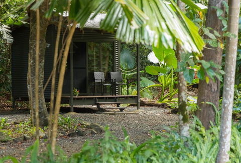 Safari Lodge - Accommodation Gladstone 2