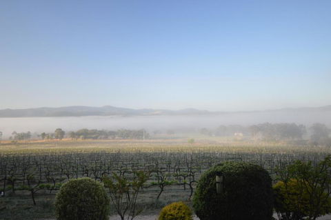 Sancerre Estate - Accommodation Gladstone 3