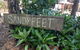 Sandyfeet House - thumb 0