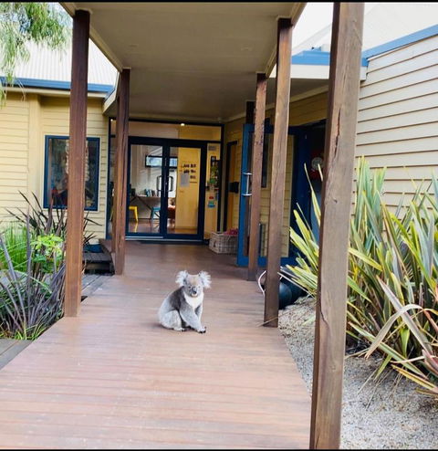 Sandpiper Motel Apollo Bay - Accommodation Gladstone 3