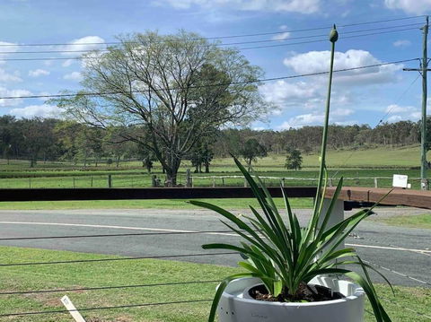 Scenic Rim Country Escape - Accommodation Gladstone 3