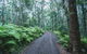 Secluded Retreat In Noosa Hinterland - thumb 2
