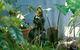Serenity Guest House - thumb 3