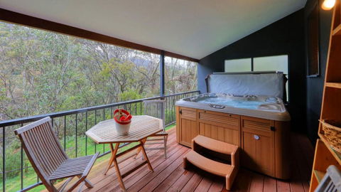 Ski In Ski Out 17 - Accommodation Gladstone 1