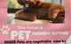 SUMMER DAYSIES - Pet Friendly WiFi - thumb 1