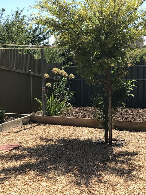 Beatty Cottage - Accommodation Gladstone 2