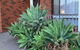 Beautiful Bedroom In Bentleigh East - thumb 0