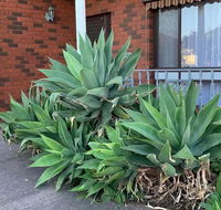 Beautiful Bedroom in Bentleigh East - Accommodation Gladstone