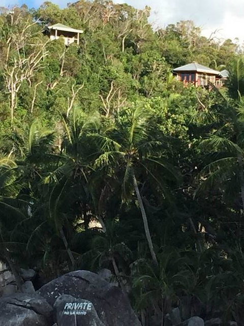 Bedarra Island Treetop Hideaway - Accommodation Gladstone 3