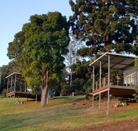 Beechmont Bean Cabins - Accommodation Gladstone