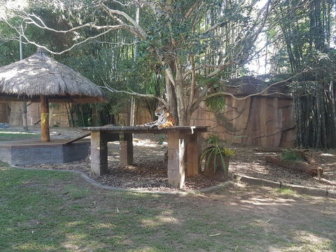 Beerwah House - Accommodation Gladstone 3