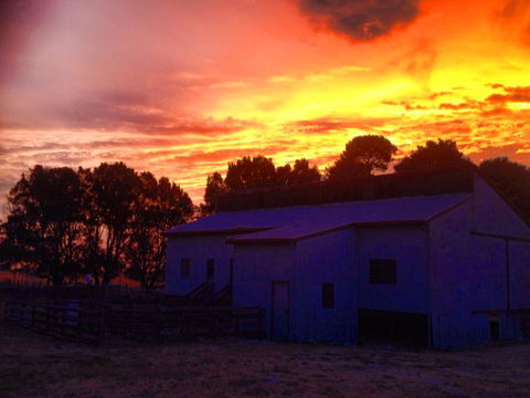 Beggs Farmstay B&B - Accommodation Gladstone 1