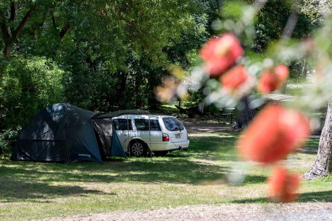 Belair National Park Holiday Park - Accommodation Gladstone 0