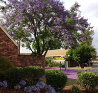 Belvoir Village Motel  Apartments Wodonga - Accommodation Gladstone