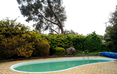 Bendigo Motor Inn - Accommodation Gladstone 3